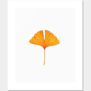Golden Yellow Ginkgo Leaf Posters and Art